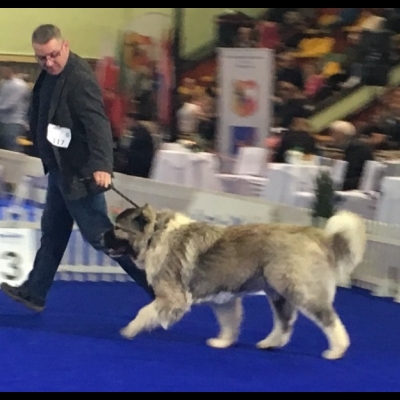CH of CH LESZNO'19 - BAGIRA